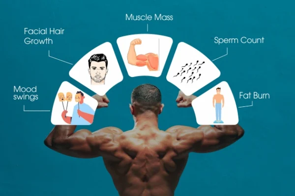 Testosterone