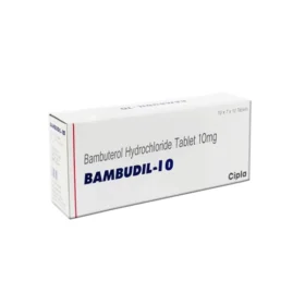 Bambudil