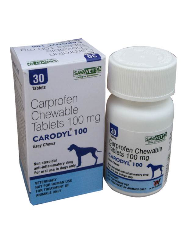 CARODYL-100-MG-30-TAB Carodyl, Carprofen