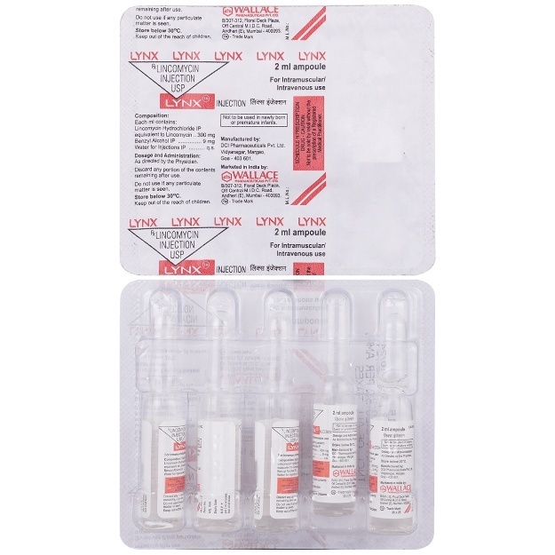 Lynx Injection, Lincomycin