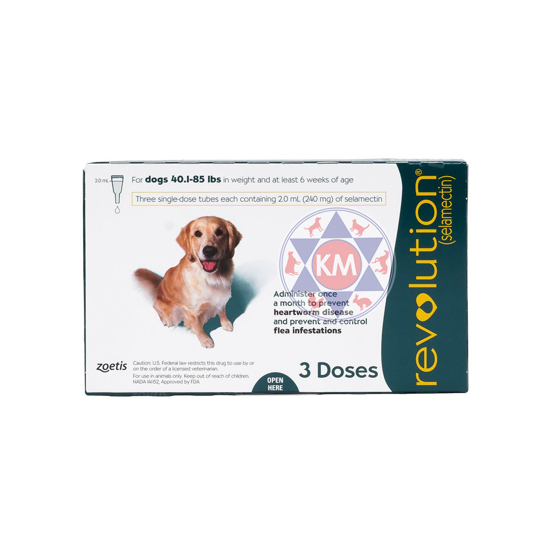 Revolution-240mg Revolution