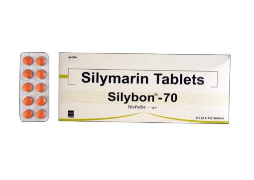 Silybon