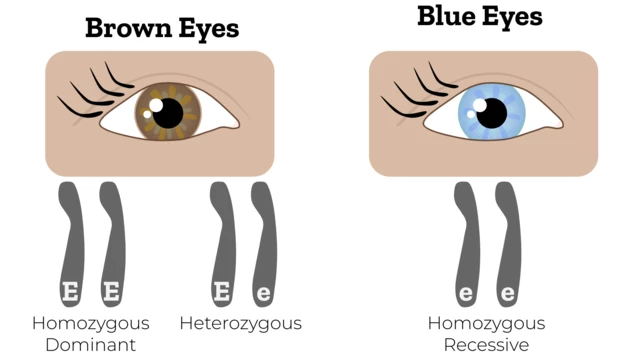 Heterozygous