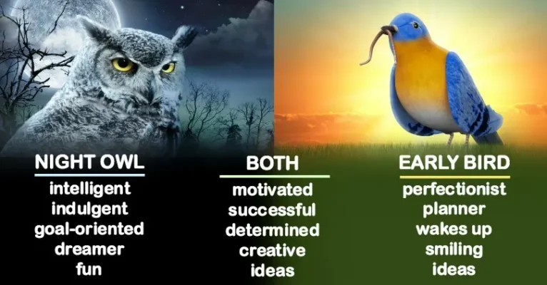 Is It Better to Be a Night Owl or Early Bird